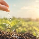Thoughts Create Reality: What Are We Sowing in Our Inner World?